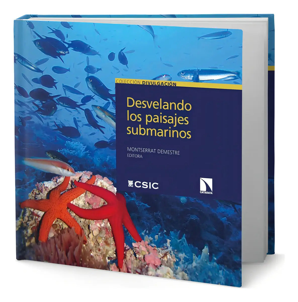 Portada de Libro Desvelando Los Paisajes Submarinos [ Original ], De Montserrat. Editorial Los Libros De La Catarata, Tapa B…