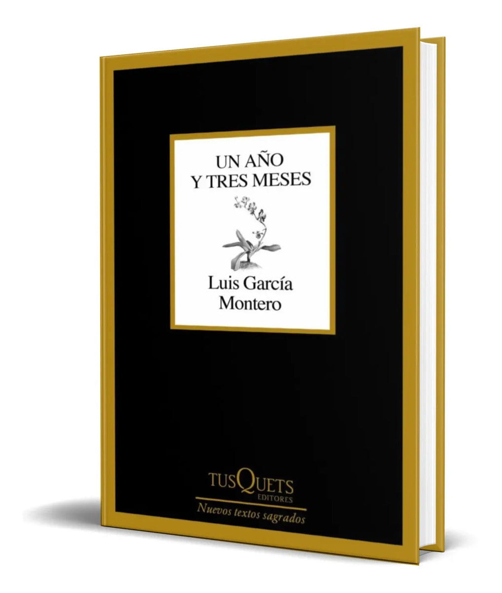 Portada de Libro Un Año Y Tres Meses [ Luis Garcia Montero ] Original
