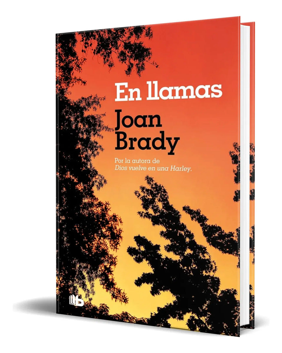 Portada de Libro En Llamas [ Joan Brady ] Original