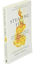 Portada de Stealing Fire: How Silicon Valley, The Navy Seals, And Maverick Scientists Are Revolutionizing The Way We Live An…