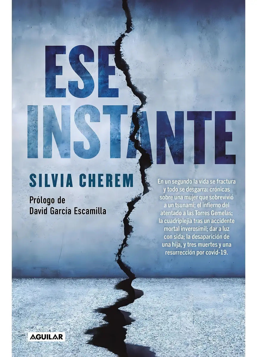 Portada de Ese Instante: Torres Gemelas, De Cherem, Silvia. Biografía Y Testimonios, Vol. Único. Editorial Aguilar, Tapa Bla…