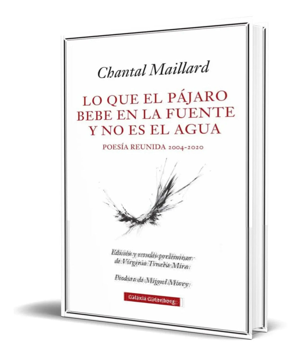 Portada de Libro Lo Que El Pajaro Bebe En La Fuente Y No Es El Agua