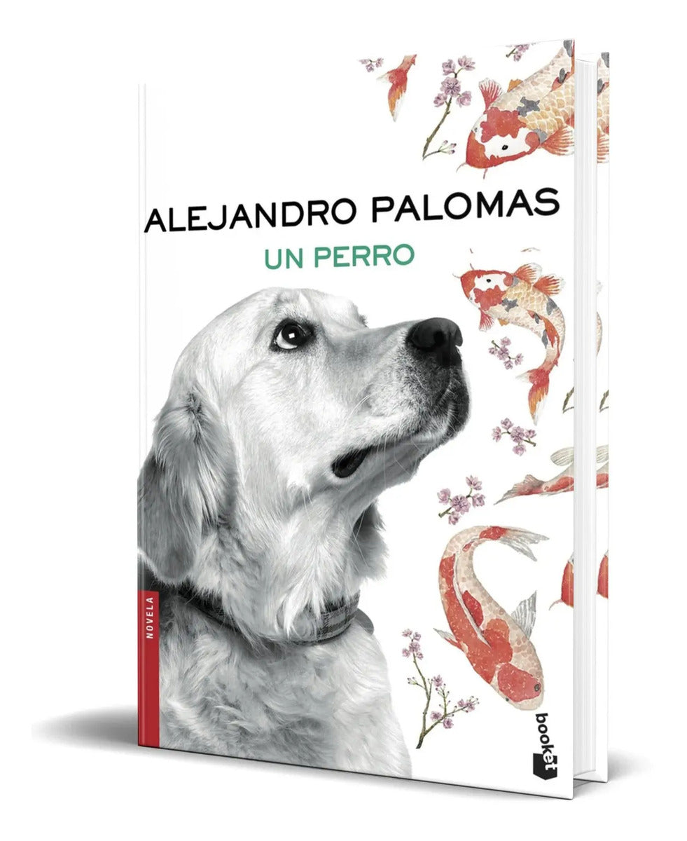 Portada de Libro Un Perro [ Alejandro Palomas ] Original