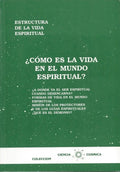 Portada de Como Es La Vida En El Mundo Espiritual, De Fabregat Bisbal,jose. Estructura De La Vida Espiritual, Vol. 1. Editor…
