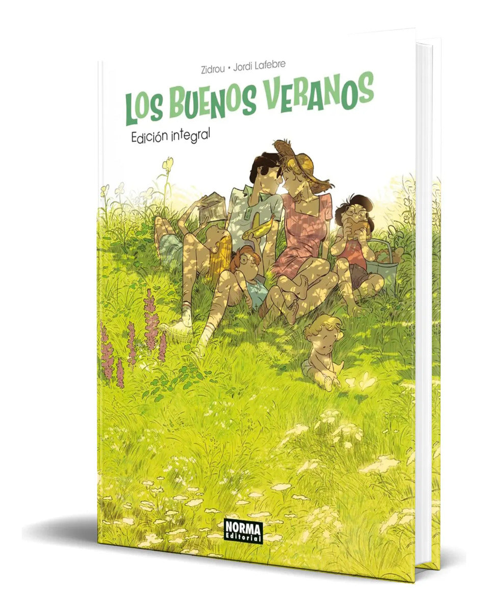Portada de Libro Los Buenos Veranos [ Jordi Lafebre ] Original