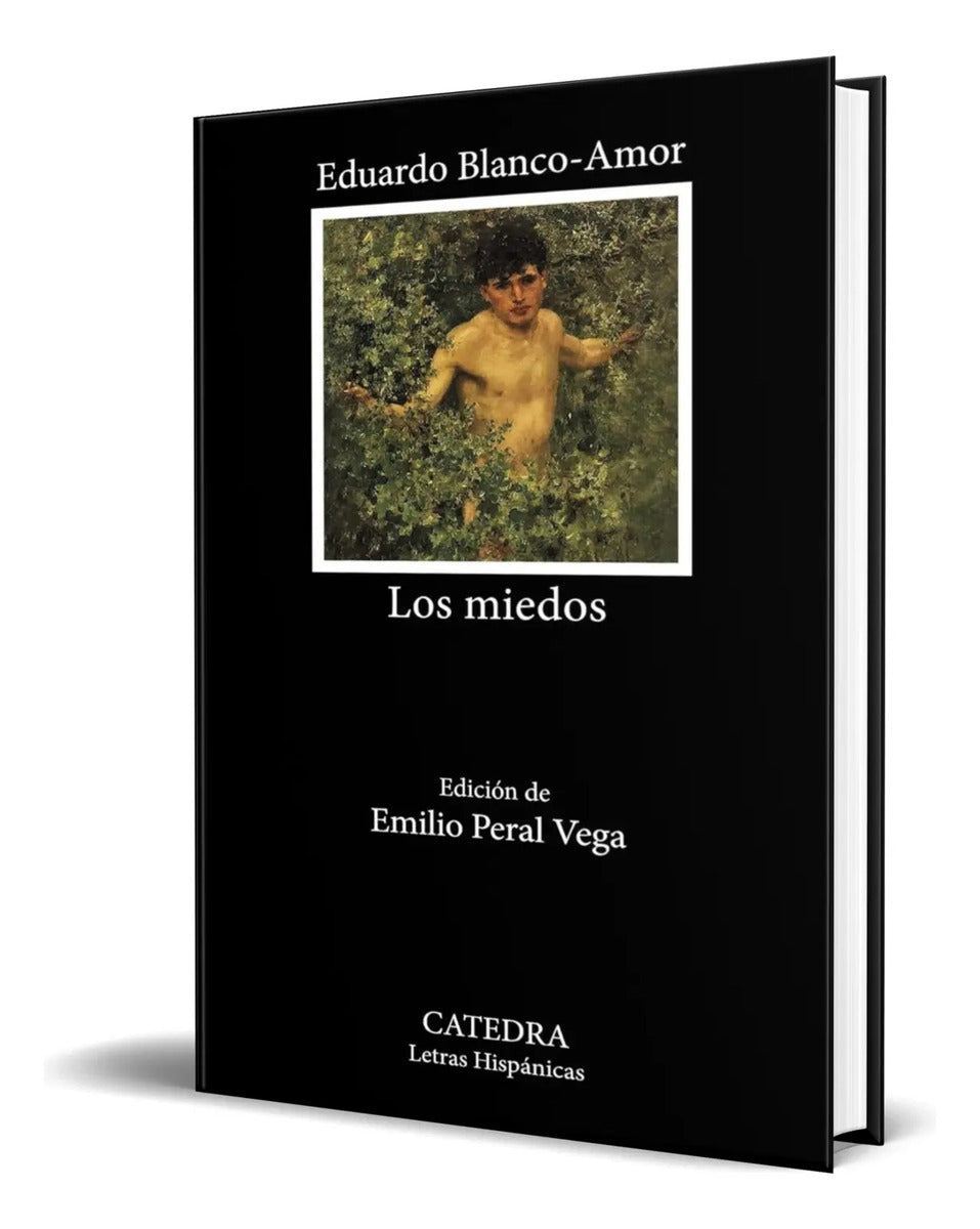 Portada de Libro Los Miedos [ Eduardo Blanco-amor ] Original