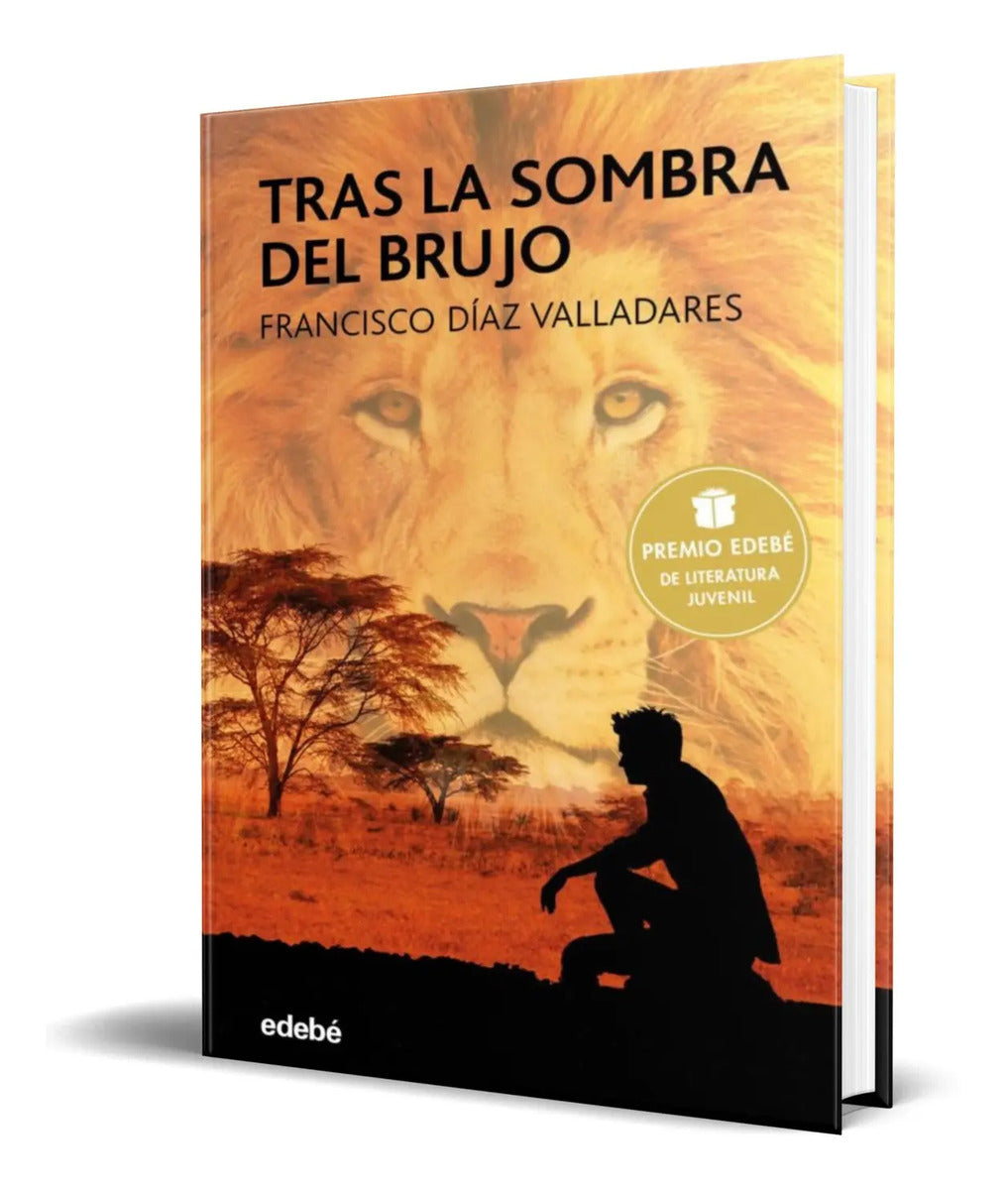 Portada de Libro Tras La Sombra Del Brujo [ Francisco Diaz ] Original