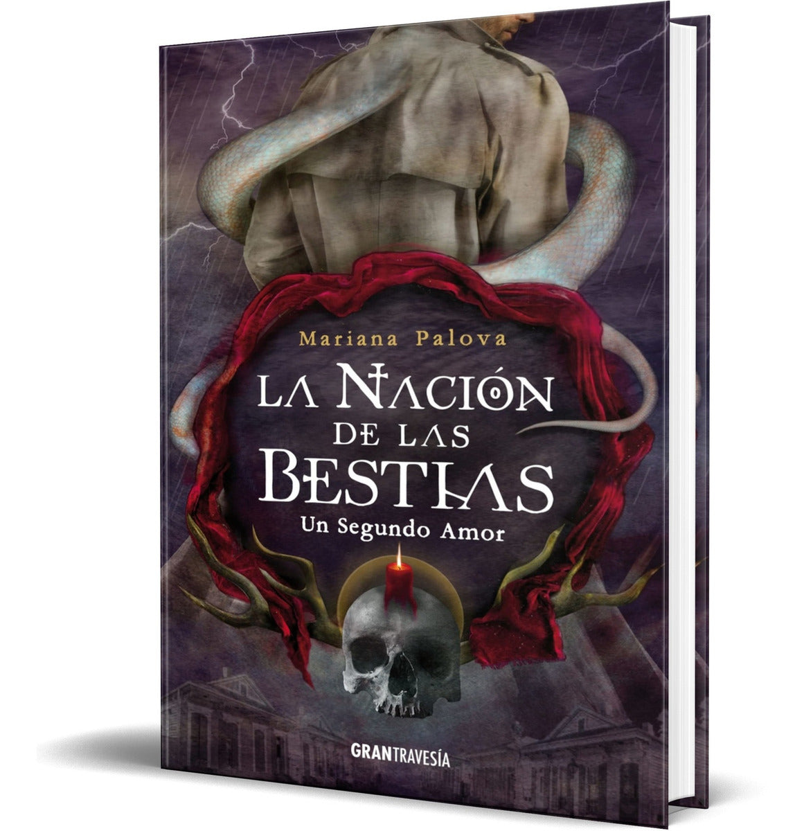 Portada de Libro Un Segundo Amor [ Mariana Palova ] Original
