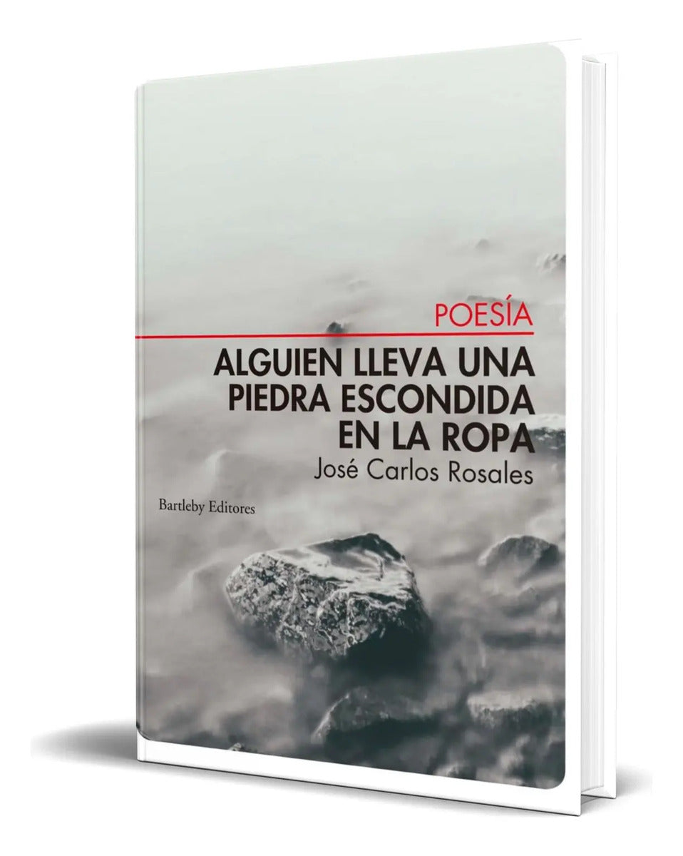 Portada de Libro Alguien Lleva Una Piedra Escondida En La Ropa Original