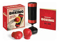 Portada de Libro Desktop Boxing [ Knock Out Your Stress! ] Original