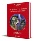 Portada de Libro Los Mellizos Y El Misterio Del Tesoro Escondido