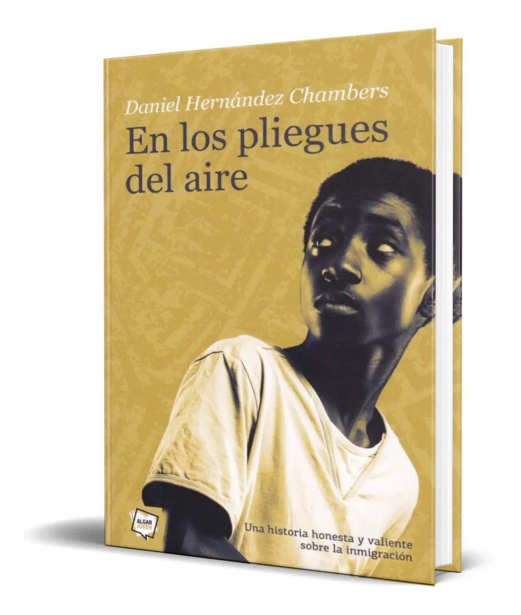 Portada de Libro En Los Pliegues Del Aire [ Daniel Hernandez ] Original