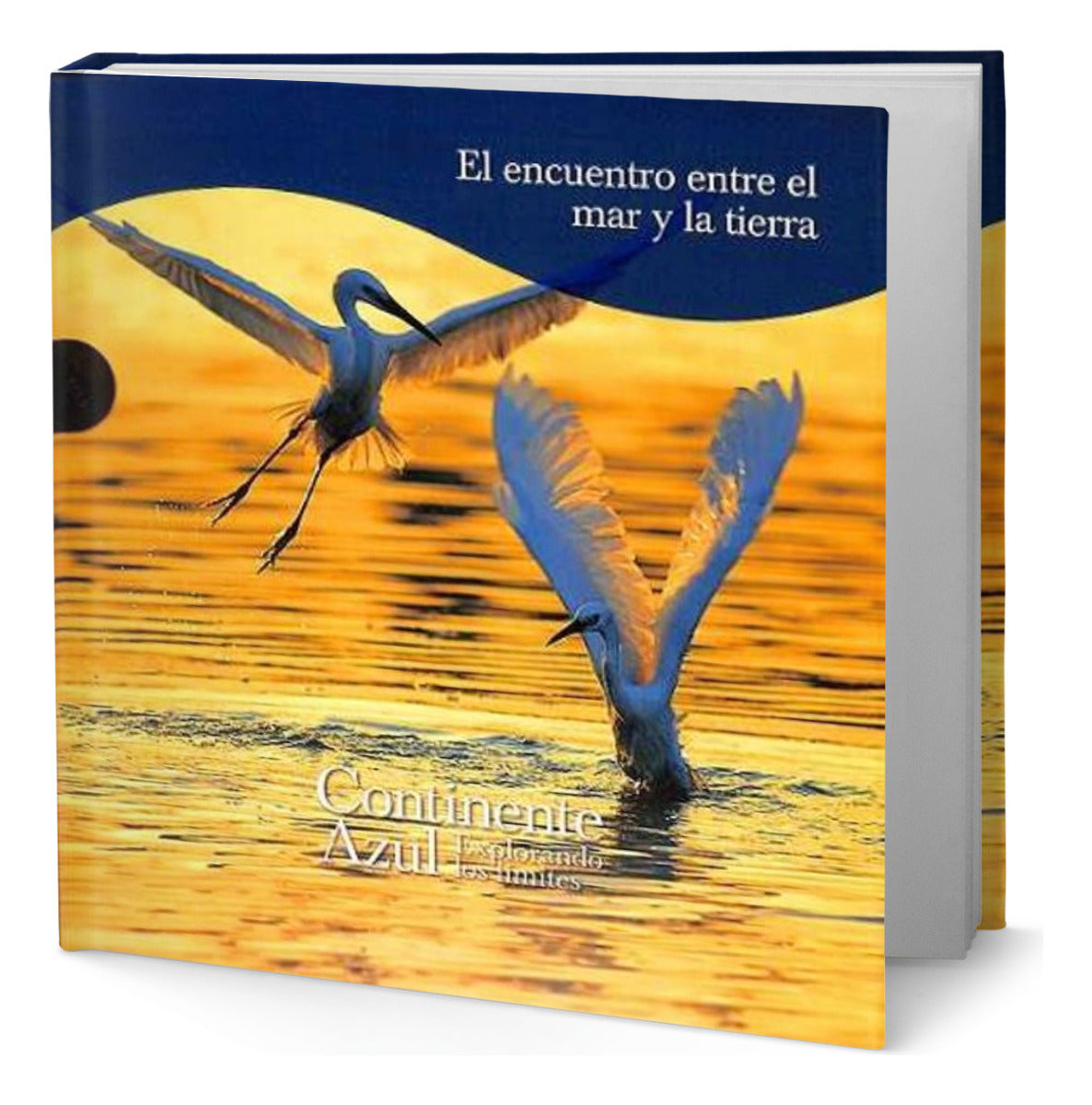 Portada de Libro El Encuentro Entre El Mar Y La Tierra [ Original ]
