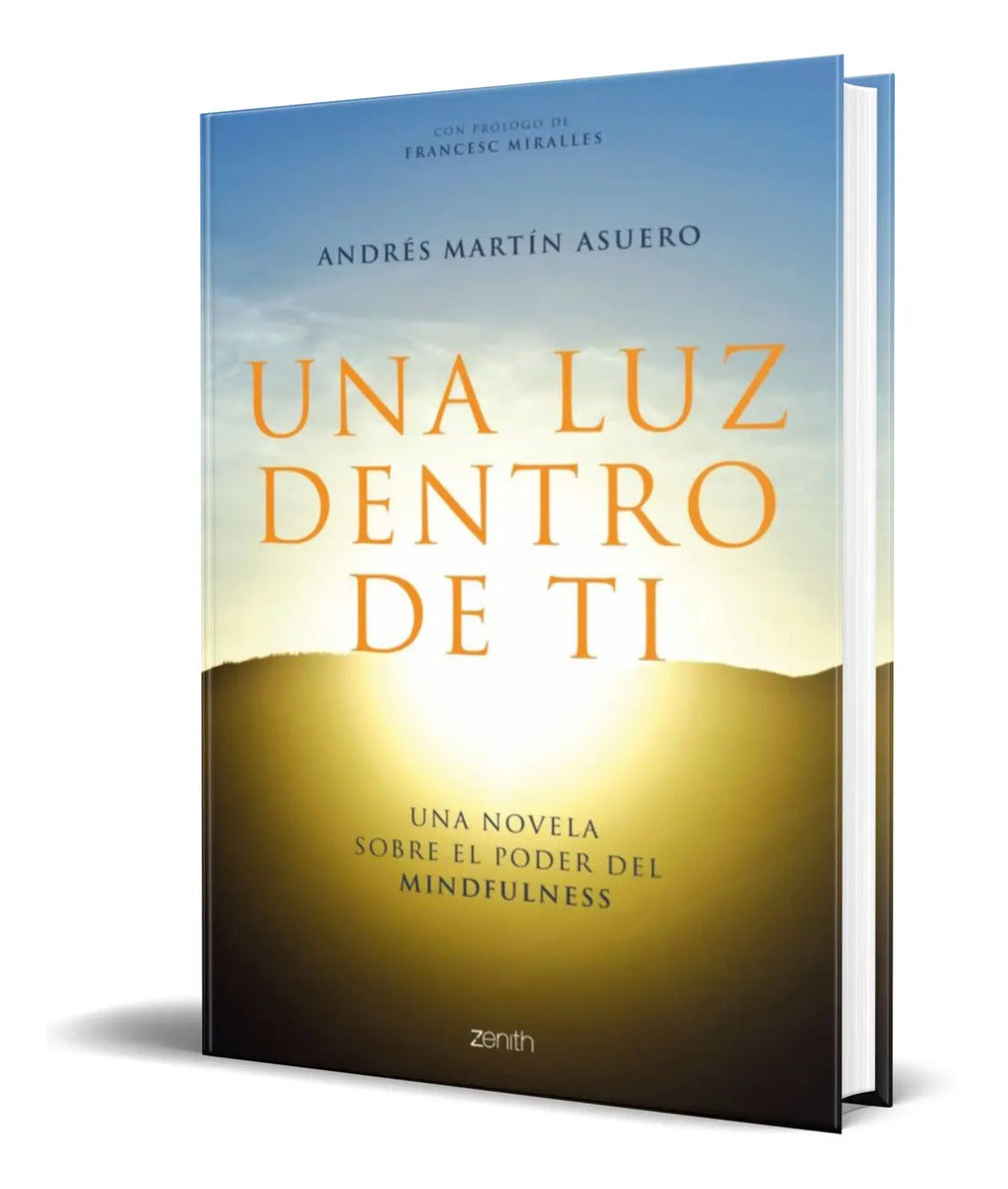 Portada de Libro Una Luz Dentro De Ti [ Andres Martin Asuero ] Original