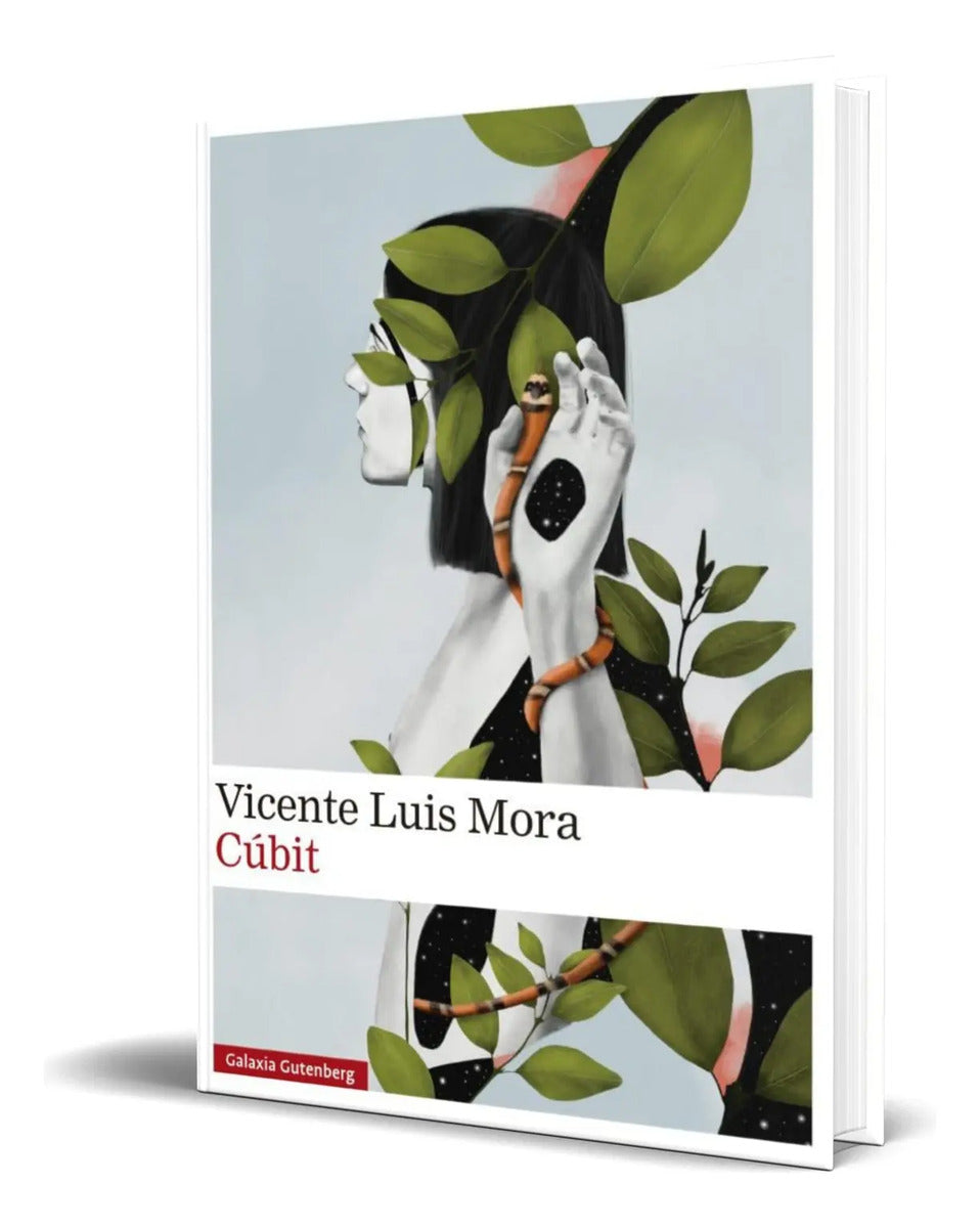 Portada de Libro Cúbit [ Vicente Luis Mora ] Original