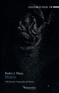 Portada de Libro Matriz [ Pedro J. Plaza ] Original