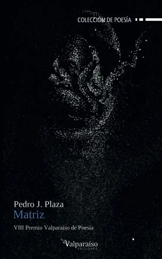 Portada de Libro Matriz [ Pedro J. Plaza ] Original