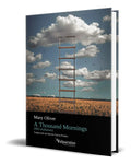 Portada de Libro A Thousand Mornings [ Mil Mañanas ] Original