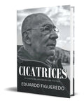 Portada de Libro Cicatrices Un Intento De Conciliación Con Mis Hijos