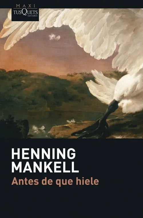 Portada de Libro Antes De Que Hiele - Mankell, Henning