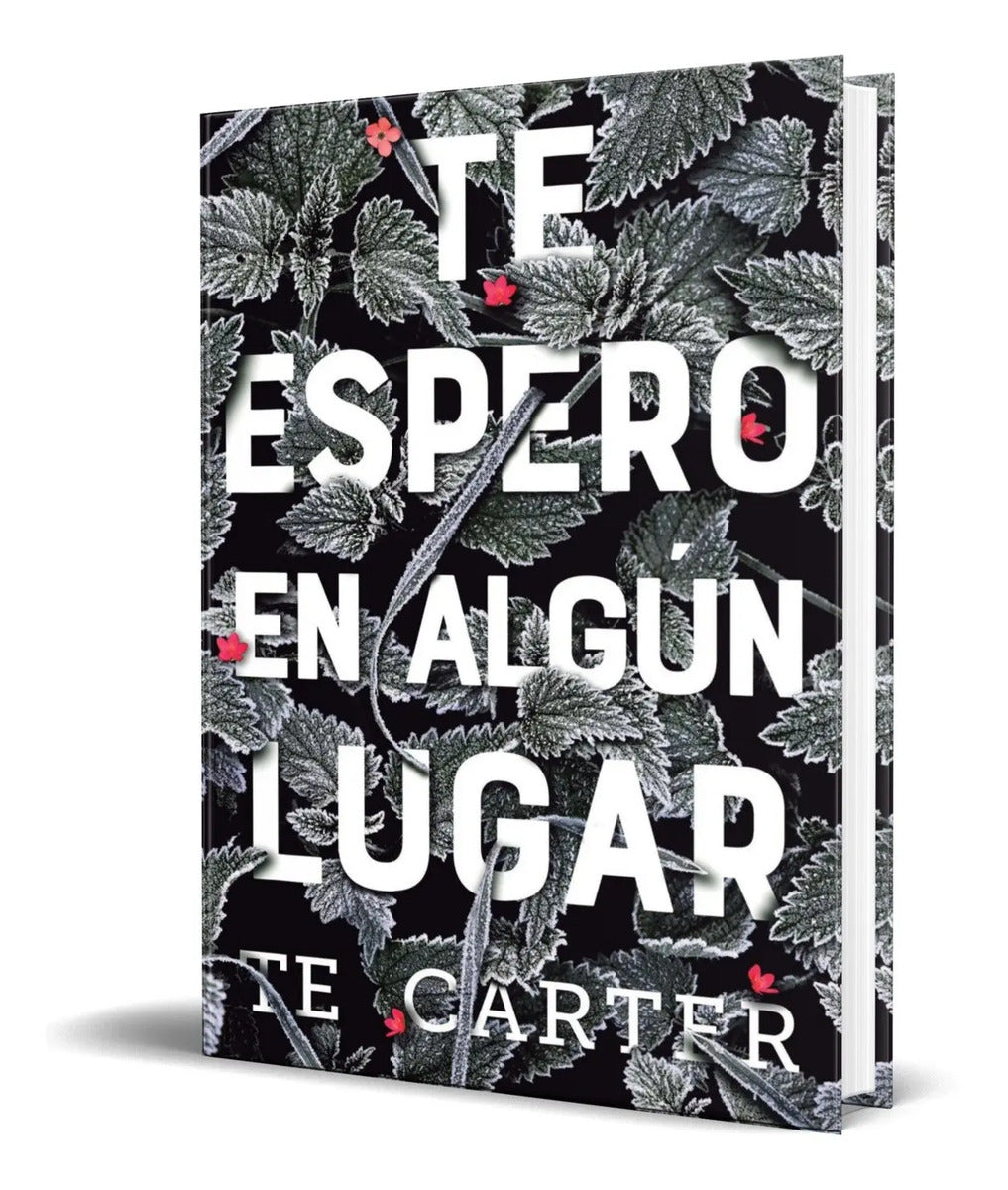 Portada de Libro Te Espero En ALGún Lugar [ T. E. Carter ] Original