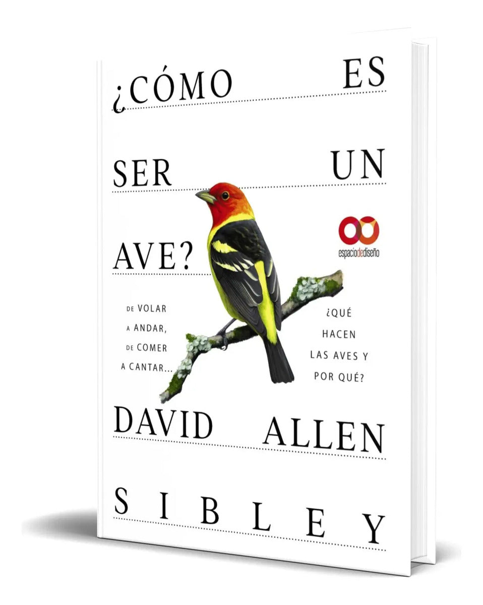 Portada de Libro ¿cómo Es Ser Un Ave? [ David Allen Sibley ] Original