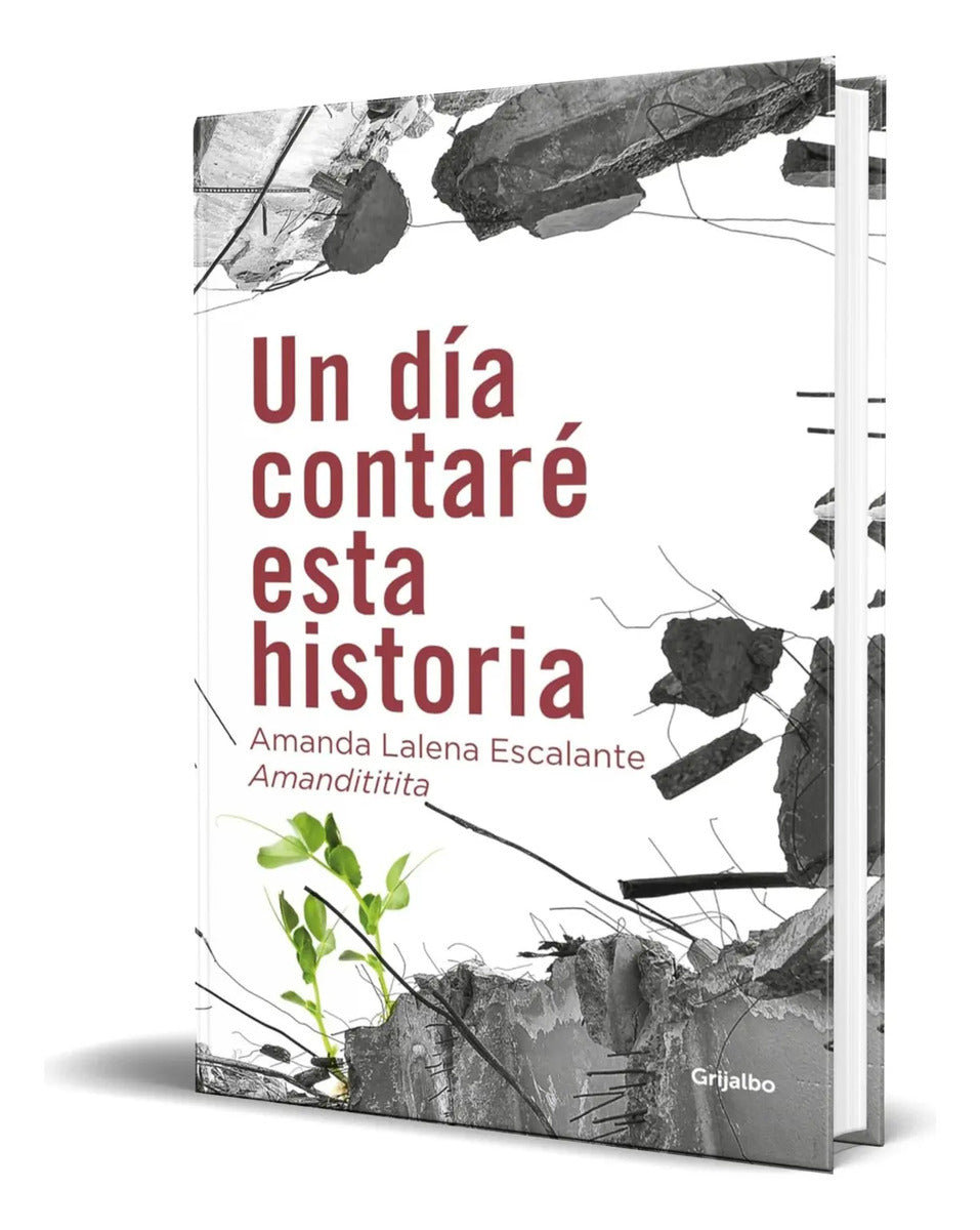 Portada de Libro Un Día Contaré Esta Historia [ A. Lalena ] Original