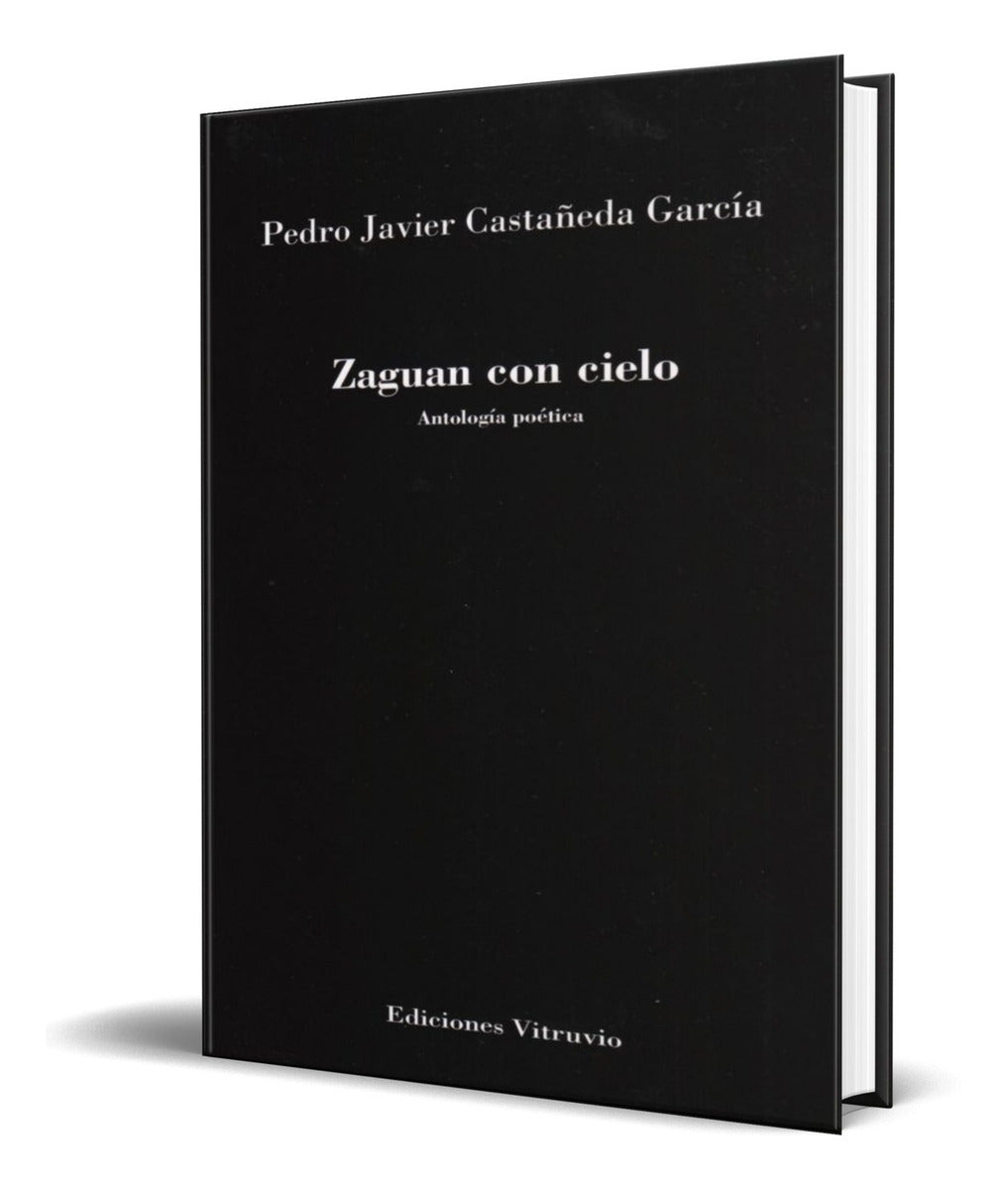 Portada de Libro Zaguán Con Cielo [ Pedro Javier Castañeda ] Original