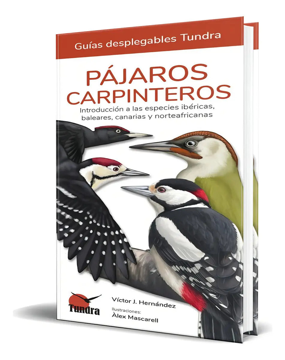 Portada de Libro Pájaros Carpinteros Guias Desplegables Tundra Original, De Victor J. Hernandez. Editorial Tundra, Tapa Blan…