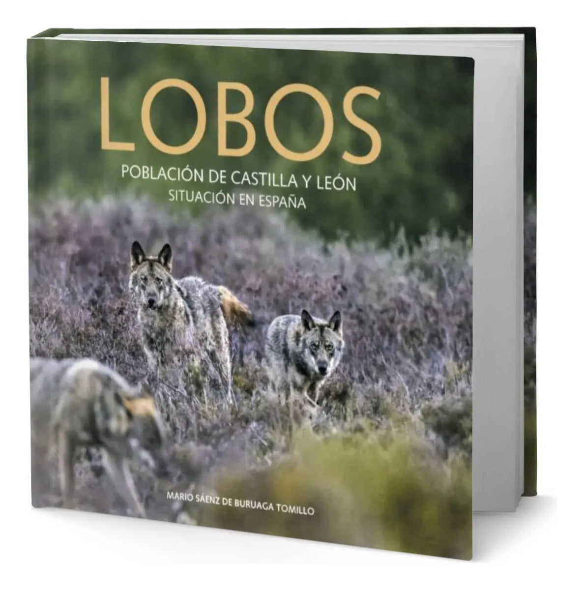Portada de Libro Lobos. Población De Castilla Y León [ Original ]