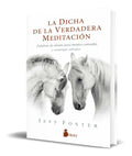 Portada de La Dicha De La Verdadera Meditacion [ Jeff Foster ] Original