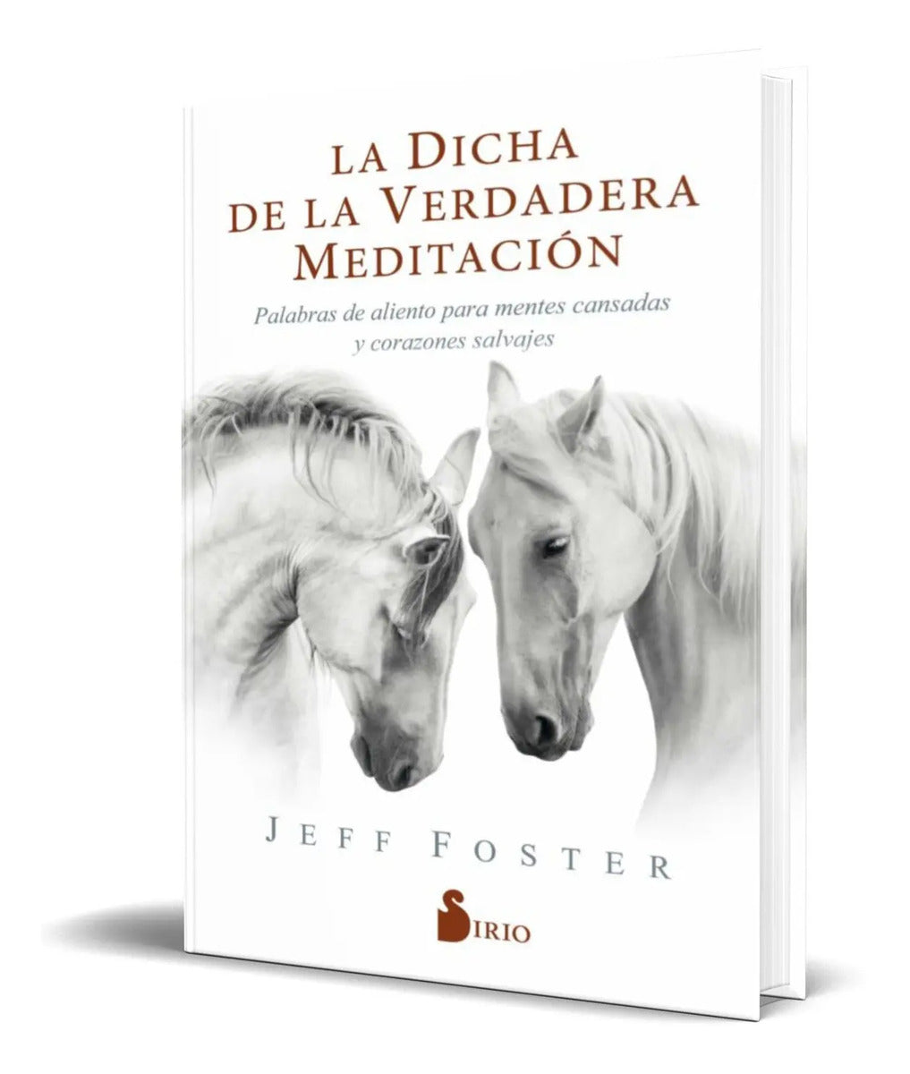 Portada de La Dicha De La Verdadera Meditacion [ Jeff Foster ] Original