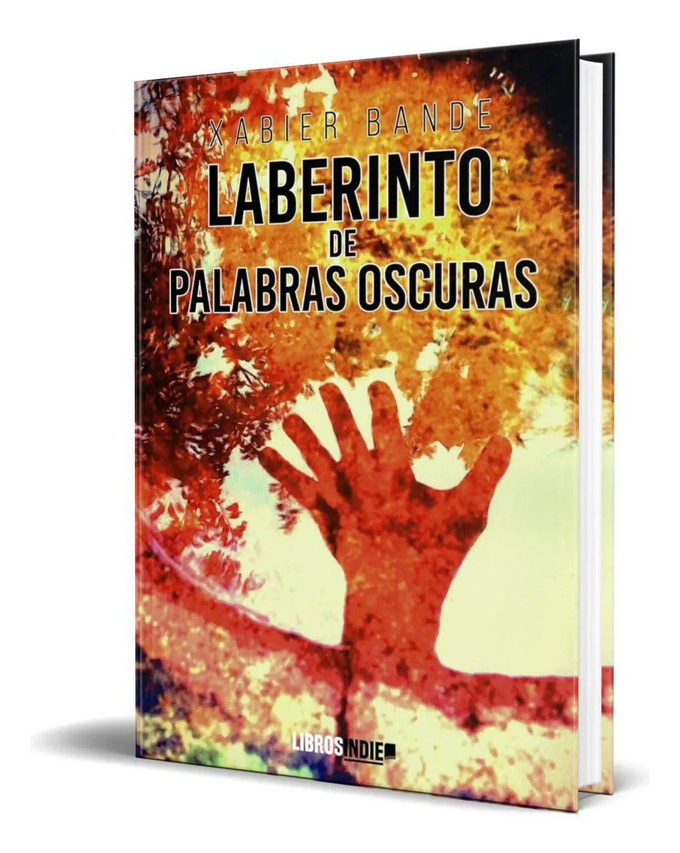 Portada de Libro Laberinto De Palabras Oscuras [ Javier Bande] Original