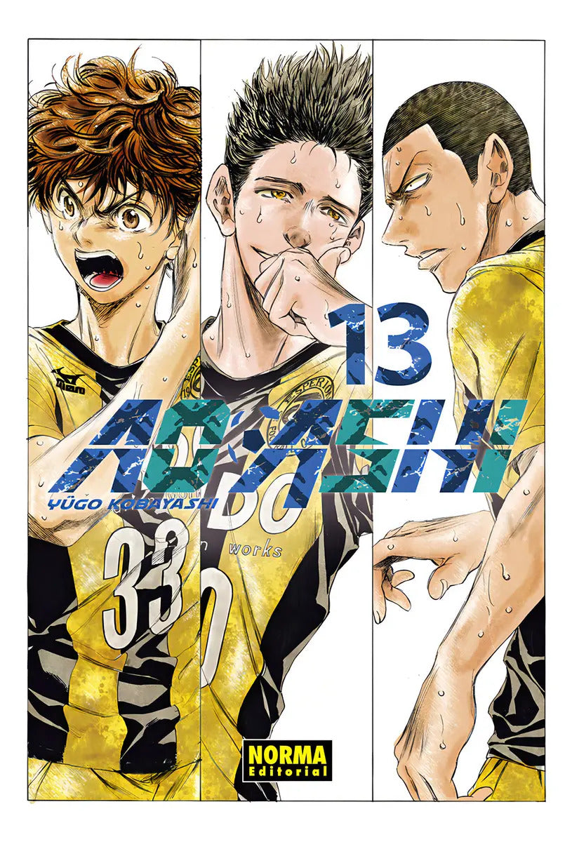 Portada de Ao Ashi 13, De Kobayashi, Yugo. Editorial Norma Editorial, S.a. En Español
