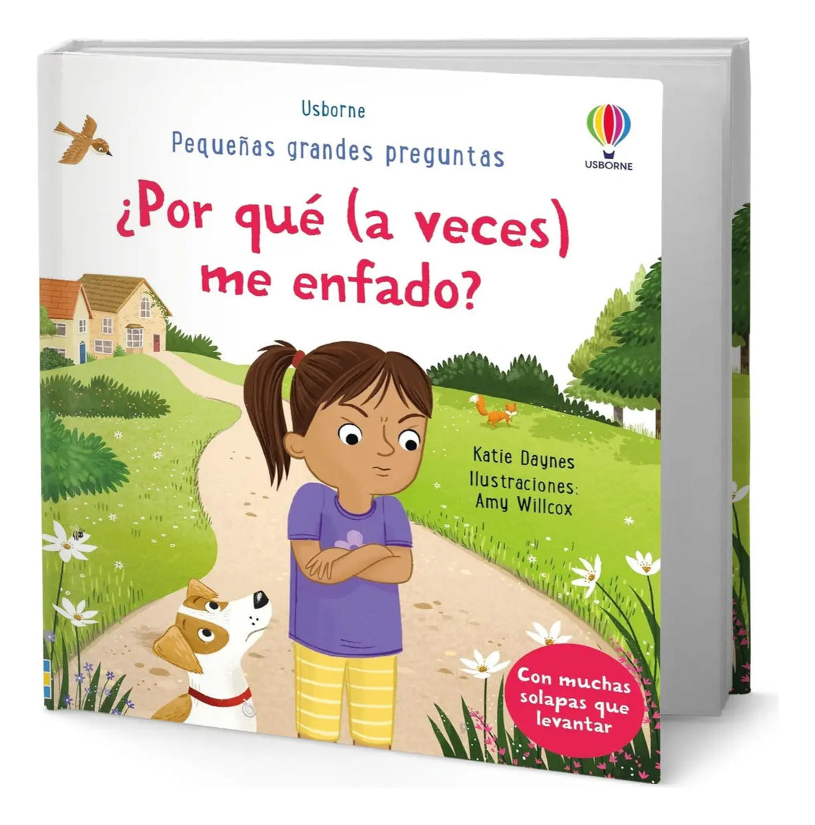 Portada de Libro ¿por Qué (a Veces) Me Enfado? [ Katie Daynes] Original