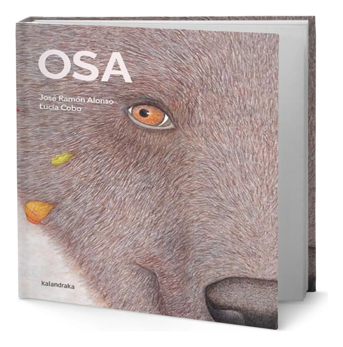 Portada de Libro Osa [ José Ramón Alonso ] Original