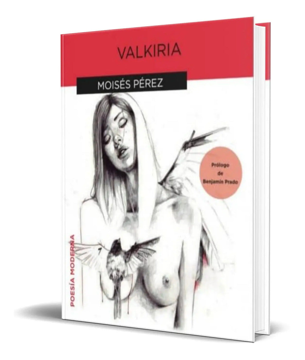 Portada de Libro Valkiria [ Moises Perez ] Original