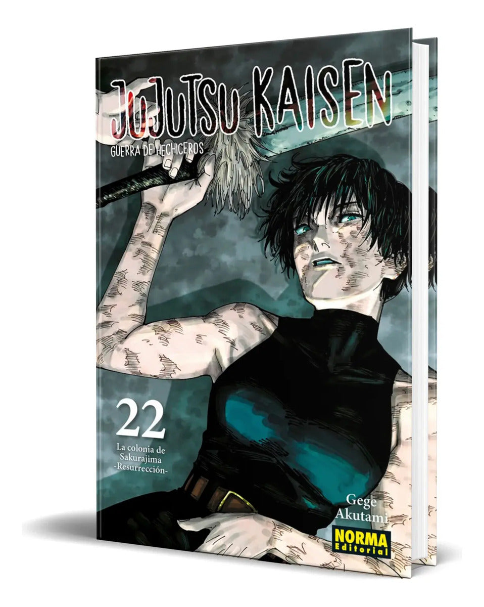 Portada de Libro One Piece Vol.13 [ Eiichiro Oda ] Original