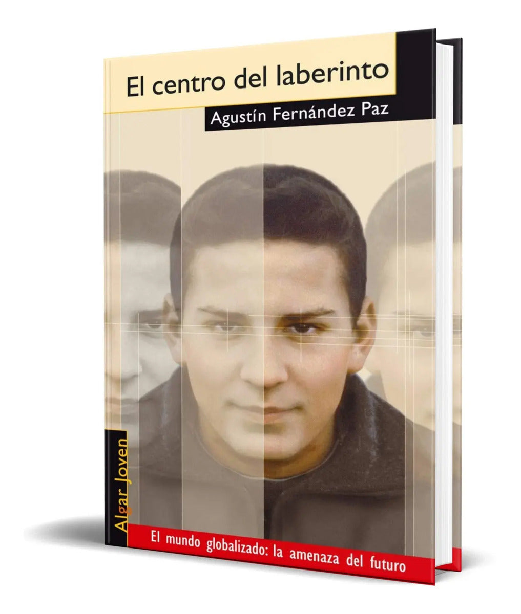 Portada de Libro El Centro Del Laberinto [ Agustin Fernandez ] Original