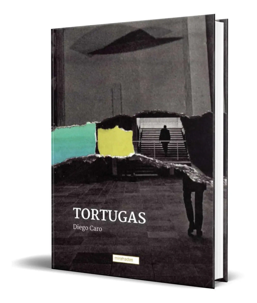 Portada de Libro Tortugas [ Diego Caro ] Original