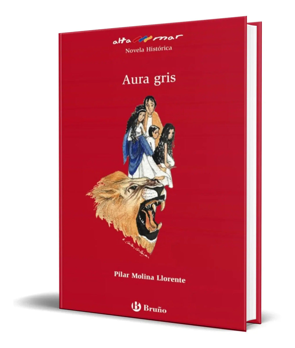 Portada de Libro Aura Gris [ Pilar Molina Llorente ] Original