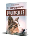 Portada de Libro The Complete Guide To Border Collies [ Original ]