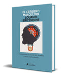 Portada de Libro El Cerebro Masculino [ Louann Brizendine ] Original