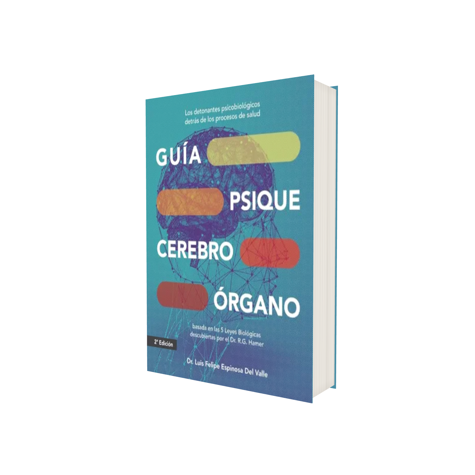 Portada de Libro Guía 5 Leyes Biológicas Hamer [ L. Espinosa ] Original