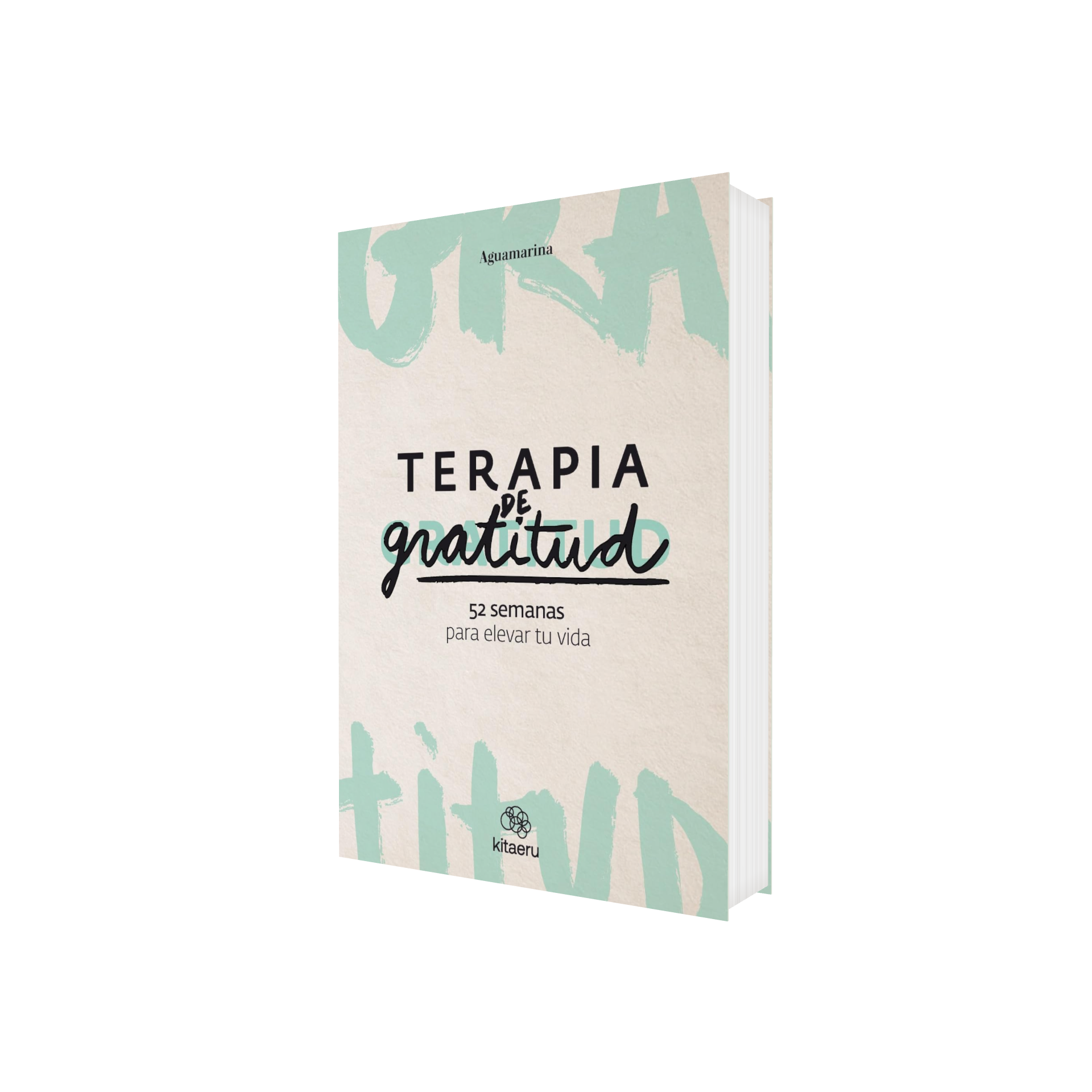Portada de Libro Terapia De Gratitud 52 Semanas Para Elevar Tu Vida Aguamarina [ En Español ] Original