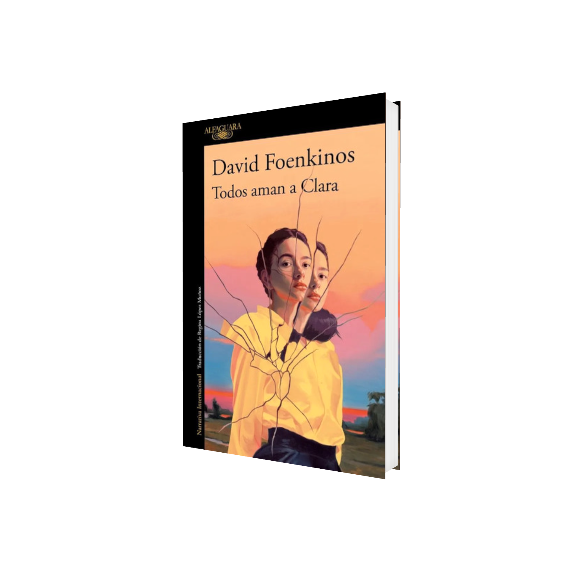 Portada de Libro Todos Aman A Clara David Foenkinos [ En Español ] Original