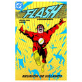 Portada de Cómic The Flash La Colección Completa Vol.2 [ Pasta Dura ] [ En Español ] Mike Baron
