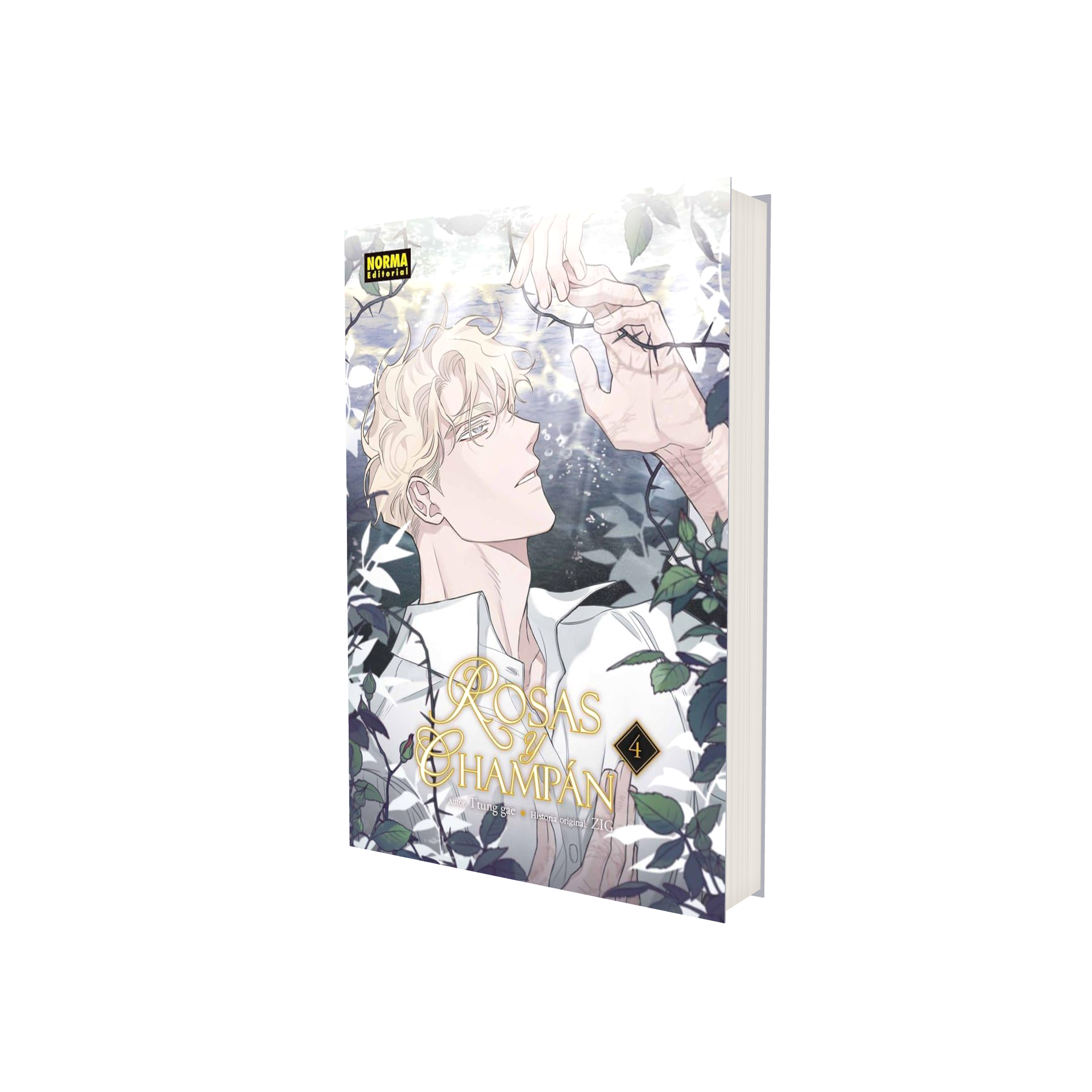 Portada de Manga Rosas Y Champán Vol.4 [ BL En Español ] Ttung Gae
