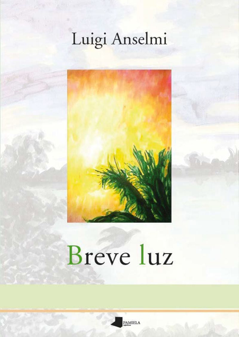 Portada de Libro Breve Luz Luigi Anselmi [ En Español ] Original