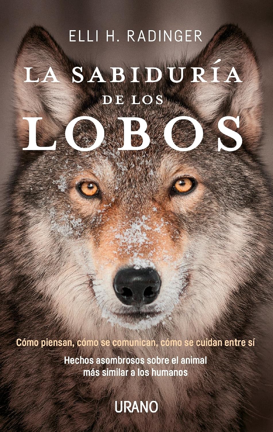 Portada de Libro La Sabiduría De Los Lobos Elli H. Radinger [ En Español ] Original